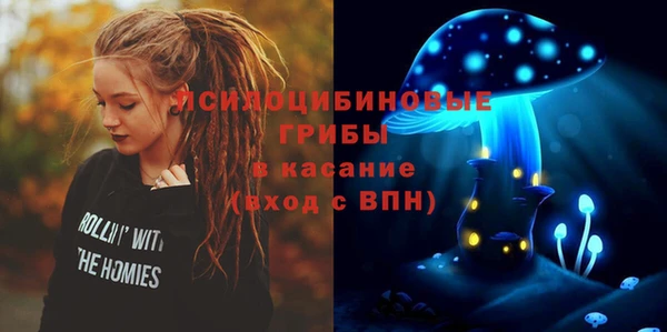 дживик Верхний Тагил