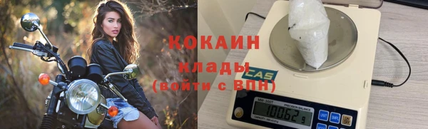 Альфа ПВП Верея