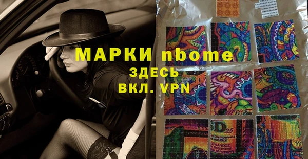 дживик Верхний Тагил
