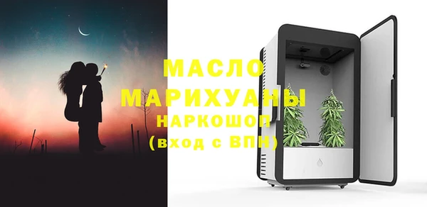 дживик Верхний Тагил