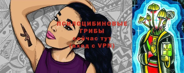 дживик Верхний Тагил