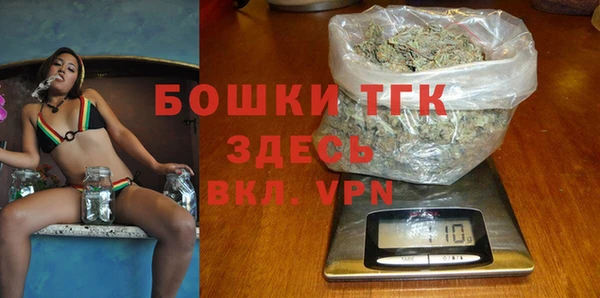 Альфа ПВП Верея